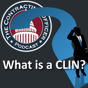 035 What is a CLIN?