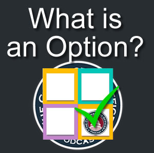 036 What is an Option?