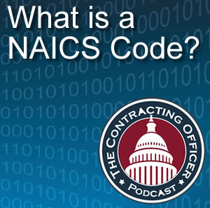 080 What is a NAICS Code?