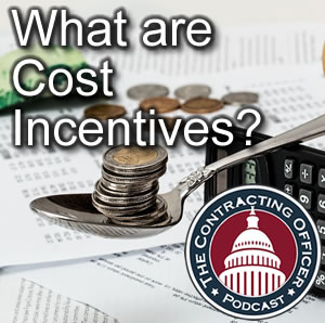 100 What are Cost Incentives?