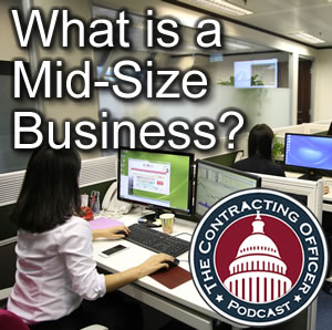 099 What is a Mid-Size Business?