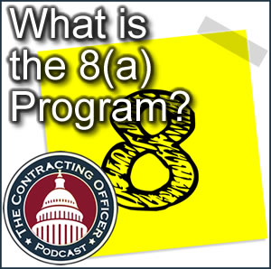 095 What is the 8(a) Program?