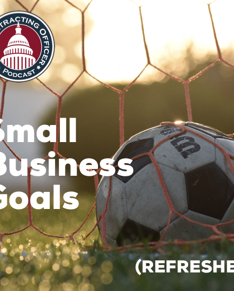 324 – Small Business Goals (REFRESHER)
