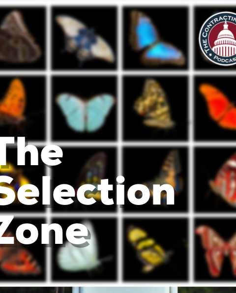 332 – The Selection Zone